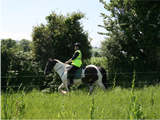 Riding School